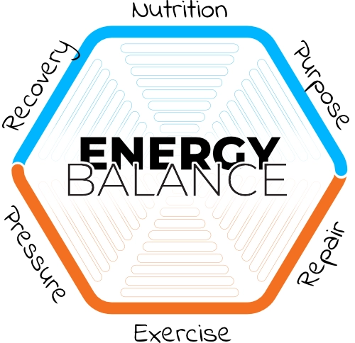 Energy Balance logo